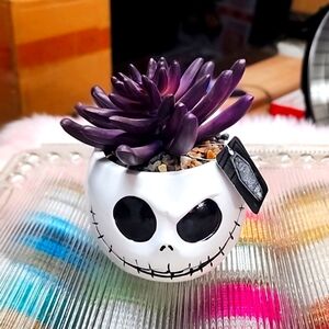 COPY - Disney Tim Burton's Nightmare Before Christmas Jack Skellington planter